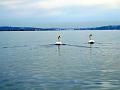 2007-07 Stage Voile 020